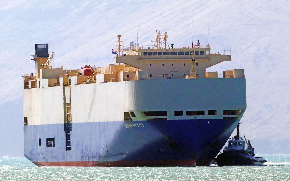 A pure car and truck carrier seen bow-on